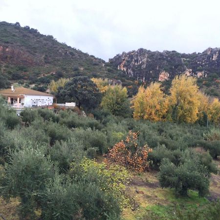 Villa La Quinta Priego de Córdoba Exteriér fotografie