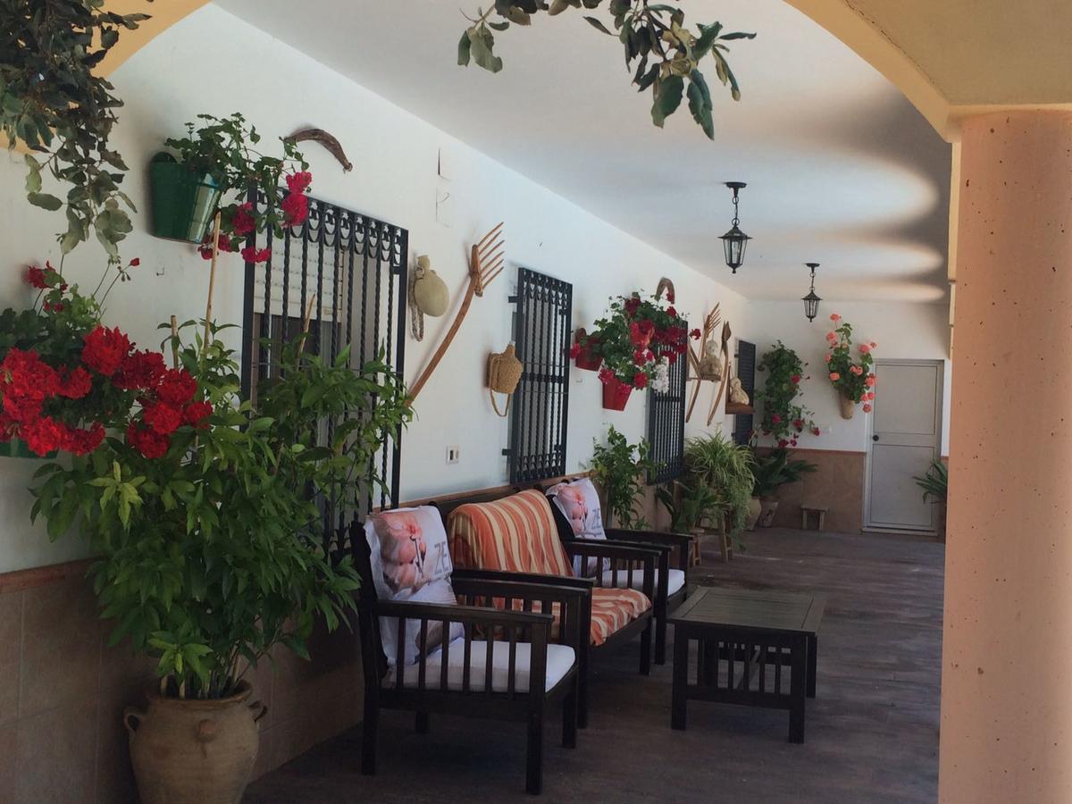 Villa La Quinta Priego de Córdoba Exteriér fotografie