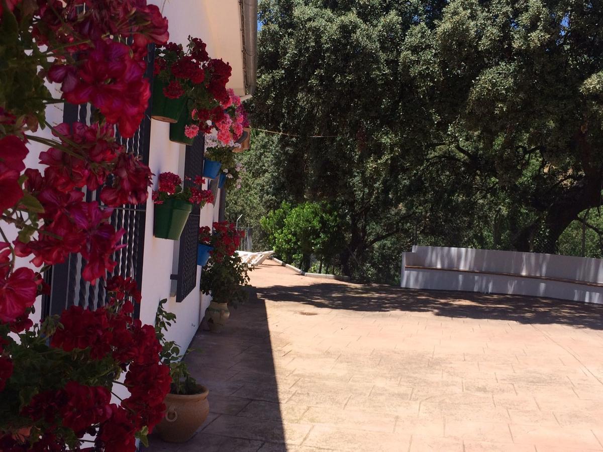 Villa La Quinta Priego de Córdoba Exteriér fotografie