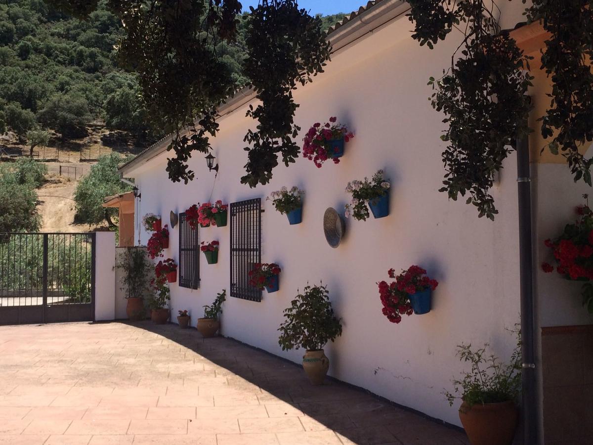 Villa La Quinta Priego de Córdoba Exteriér fotografie