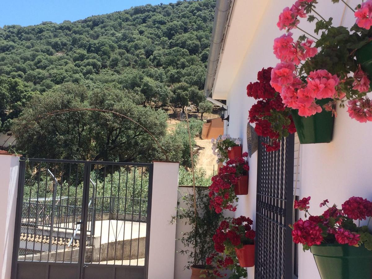 Villa La Quinta Priego de Córdoba Exteriér fotografie