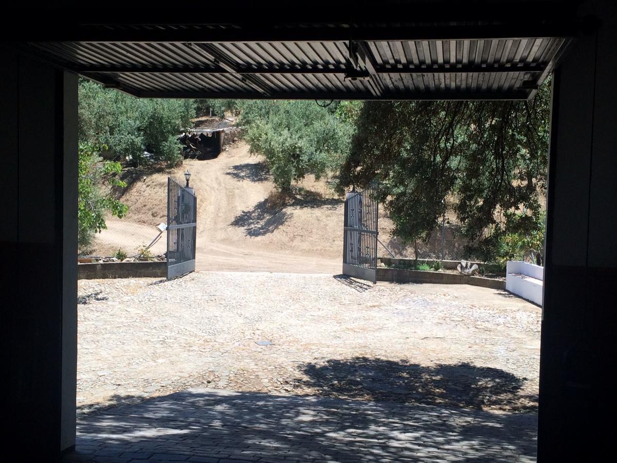 Villa La Quinta Priego de Córdoba Exteriér fotografie