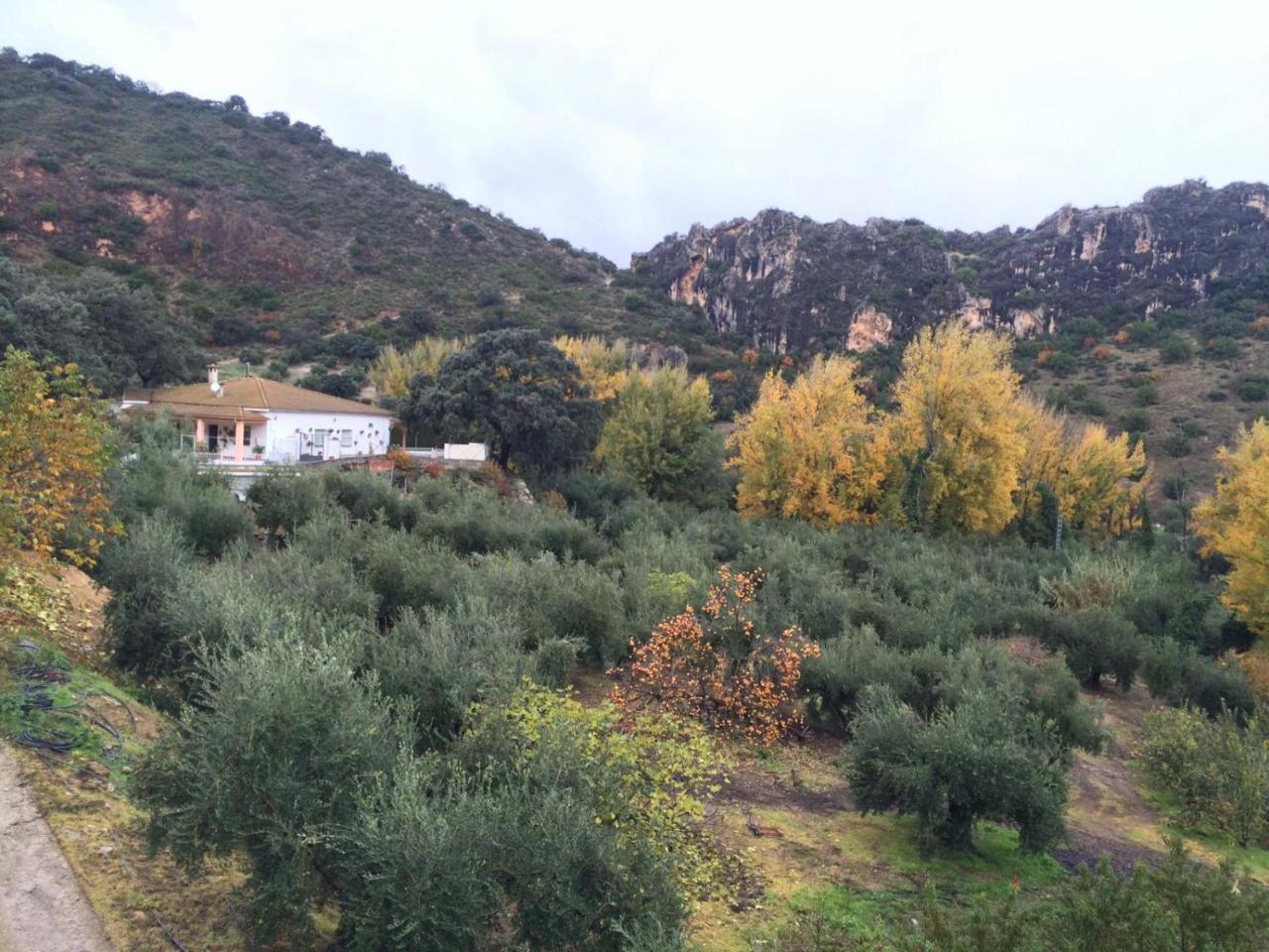 Villa La Quinta Priego de Córdoba Exteriér fotografie