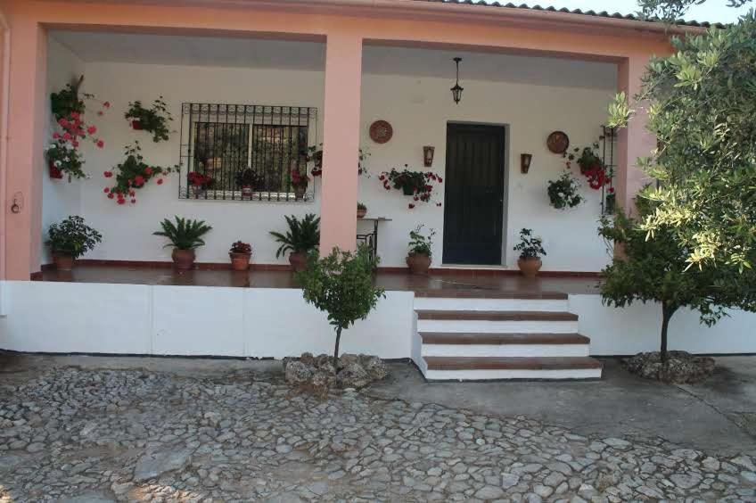 Villa La Quinta Priego de Córdoba Exteriér fotografie